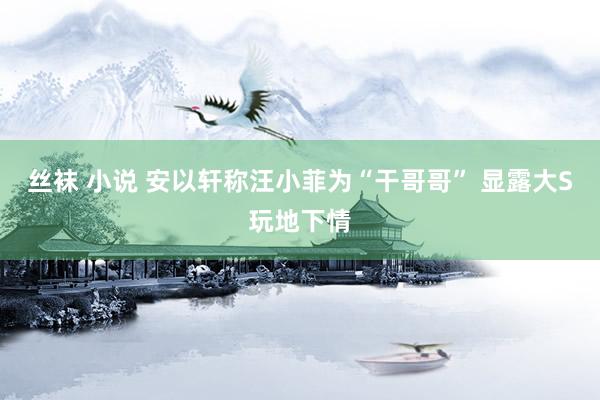 丝袜 小说 安以轩称汪小菲为“干哥哥” 显露大S玩地下情