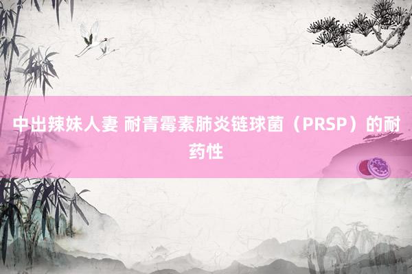 中出辣妹人妻 耐青霉素肺炎链球菌（PRSP）的耐药性