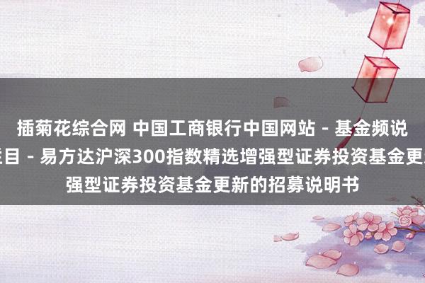 插菊花综合网 中国工商银行中国网站-基金频说念-基金公告栏目-易方达沪深300指数精选增强型证券投资基金更新的招募说明书