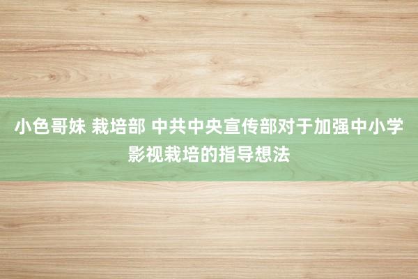 小色哥妹 栽培部 中共中央宣传部对于加强中小学影视栽培的指导想法