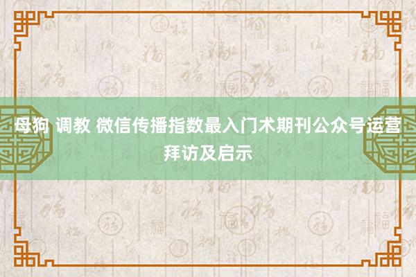 母狗 调教 微信传播指数最入门术期刊公众号运营拜访及启示
