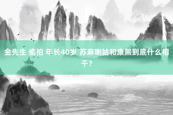 金先生 偷拍 年长40岁 苏麻喇姑和康熙到底什么相干？