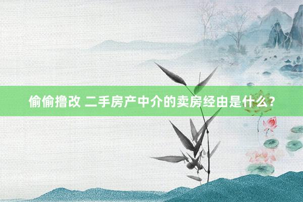 偷偷撸改 二手房产中介的卖房经由是什么？