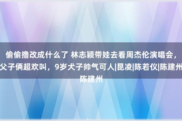 偷偷撸改成什么了 林志颖带娃去看周杰伦演唱会，父子俩超欢叫，9岁犬子帅气可人|昆凌|陈若仪|陈建州