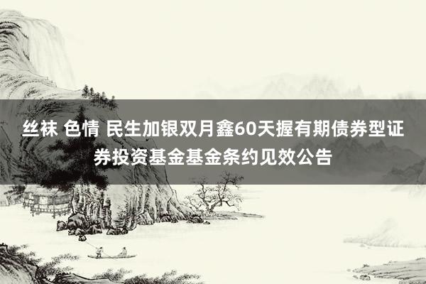 丝袜 色情 民生加银双月鑫60天握有期债券型证券投资基金基金条约见效公告