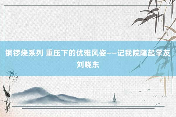 铜锣烧系列 重压下的优雅风姿——记我院隆起学友刘晓东