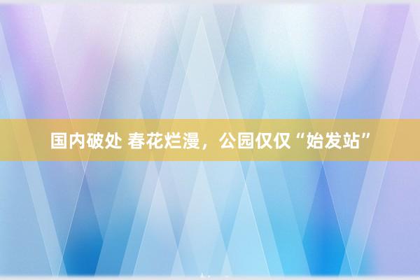 国内破处 春花烂漫，公园仅仅“始发站”