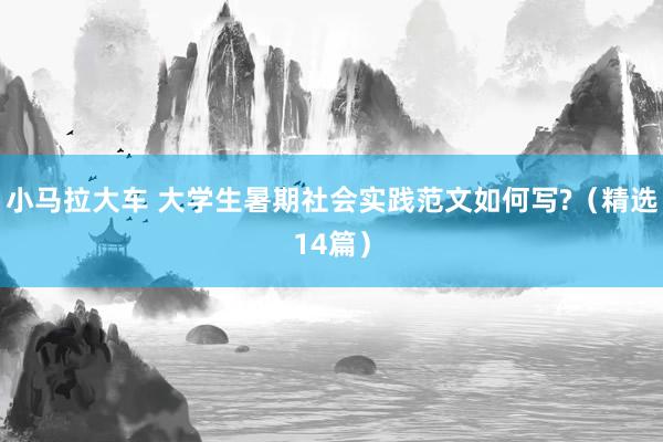 小马拉大车 大学生暑期社会实践范文如何写?（精选14篇）