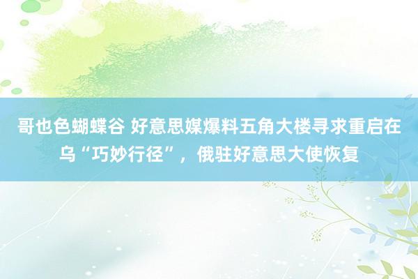哥也色蝴蝶谷 好意思媒爆料五角大楼寻求重启在乌“巧妙行径”，俄驻好意思大使恢复