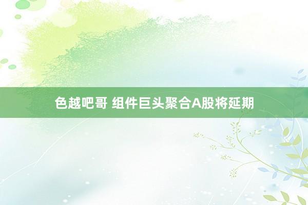 色越吧哥 组件巨头聚合A股将延期