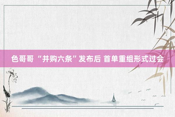 色哥哥 “并购六条”发布后 首单重组形式过会