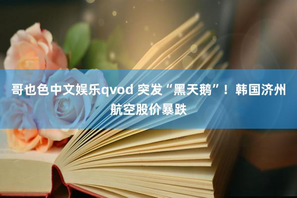 哥也色中文娱乐qvod 突发“黑天鹅”！韩国济州航空股价暴跌